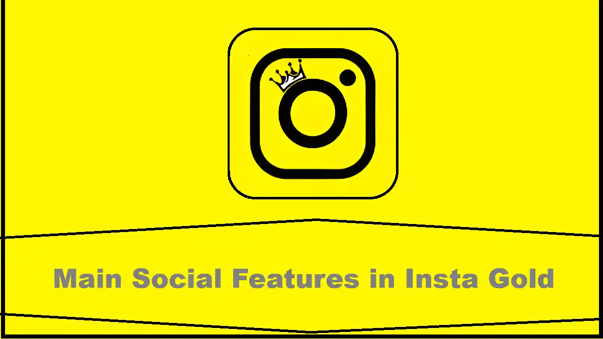Main Social Features in Insta Gold
