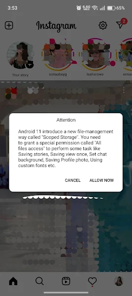 Profile view and account detail screen in Insta Gold