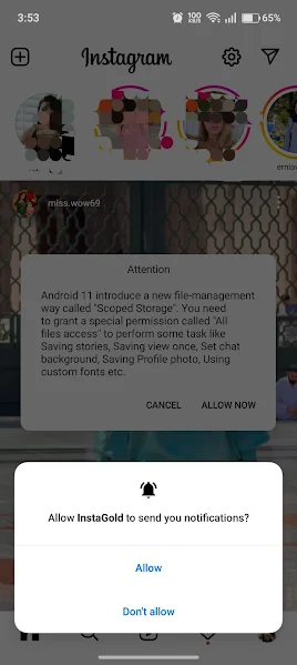 Stories and reels browsing screen in Insta Gold
